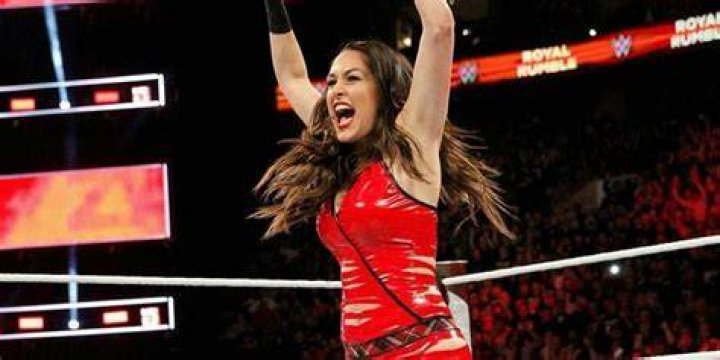 Brie Bella's 10 Best Outfits In WWE