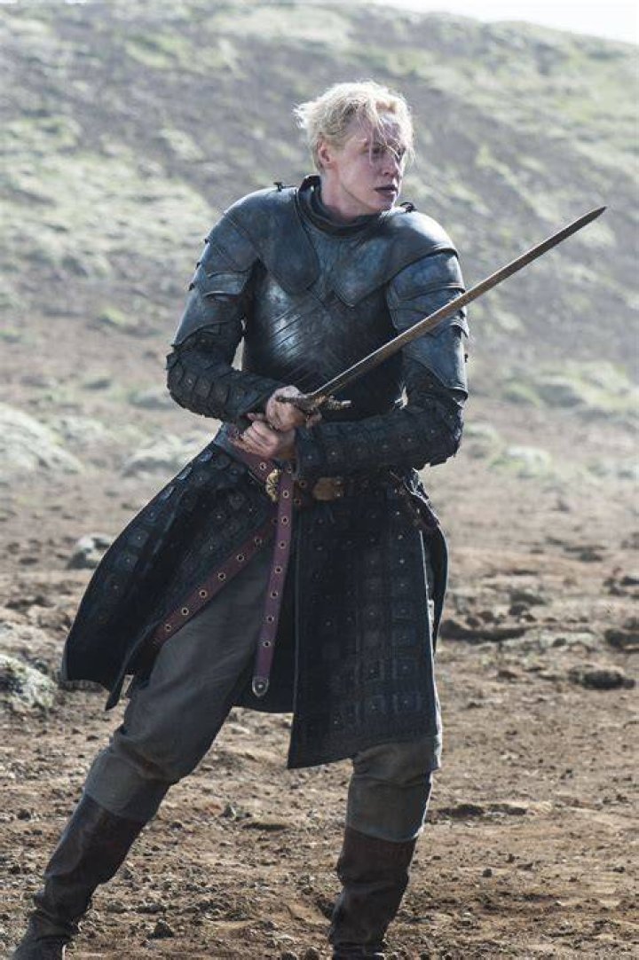 Brienne Of Tarth Fighting With The Hound Over Arya