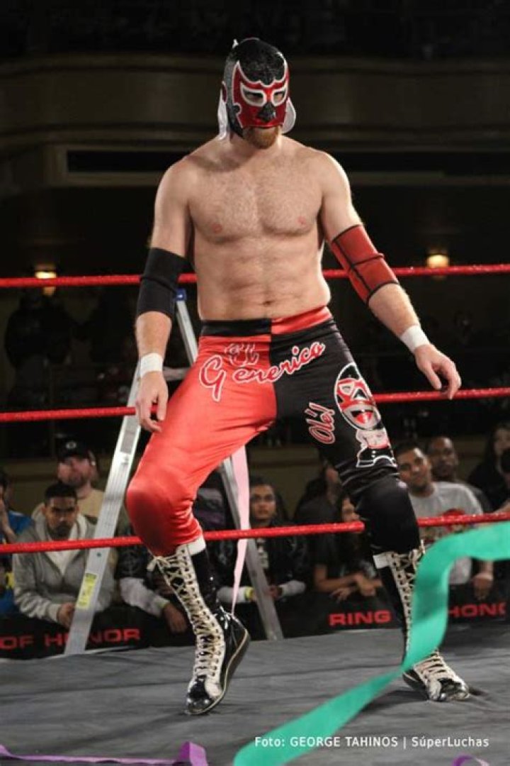 Briscoes v Steen and Generico 