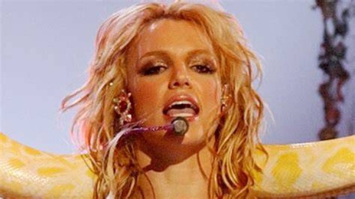 Britney Spears Reflects on Her Iconic VMAs Performance With a Snake