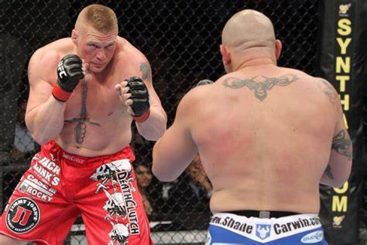 Brock Lesnar UFC Octagon