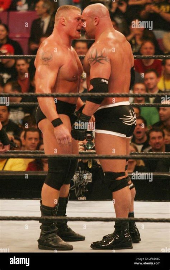 Brock Lesnar vs Goldberg at WrestleMania 20