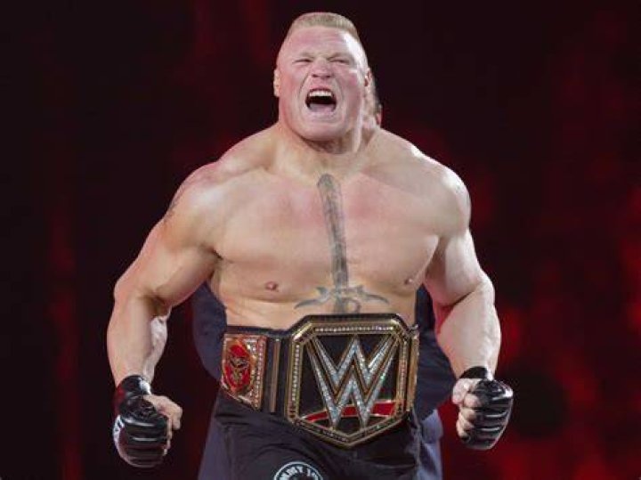 Brock Lesnar WWE UFC