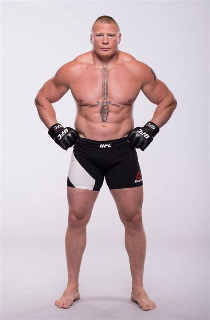 Brock-Lesnar UFC