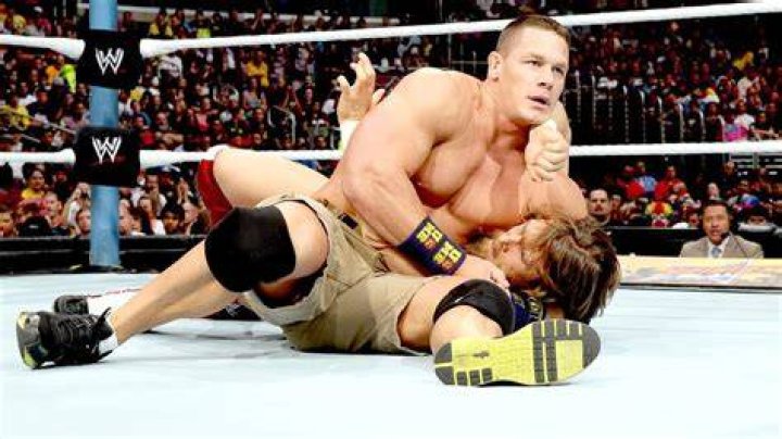 Bryan v Cena SummerSlam 2013
