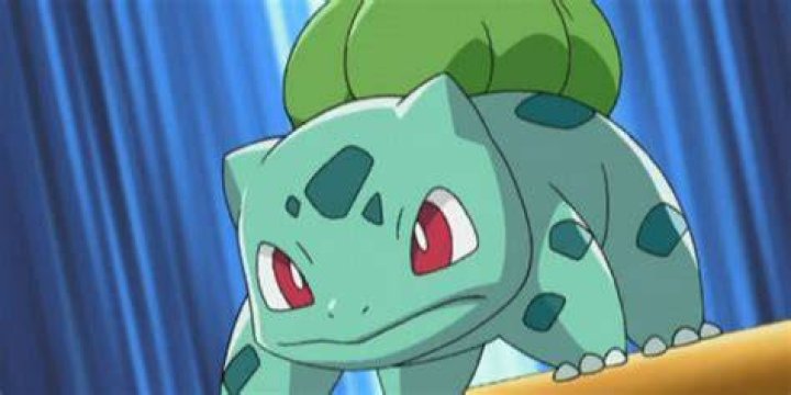 Bulbasaur Looking Angry