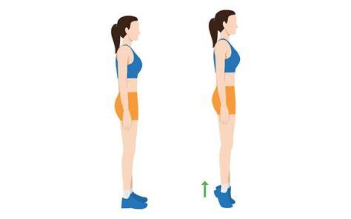 calf raises