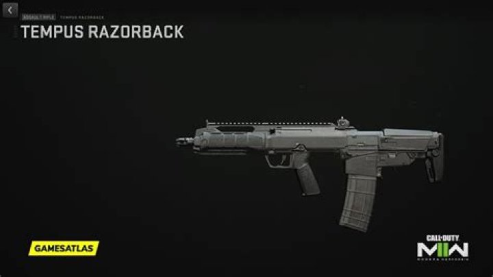 Call of Duty Modern Warfare II & Warzone: How To Get Tempus Razorback Assault
Rifle in Season 4?