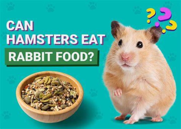 Can Hamsters Eat Rabbit Food? Facts & Dietary Needs