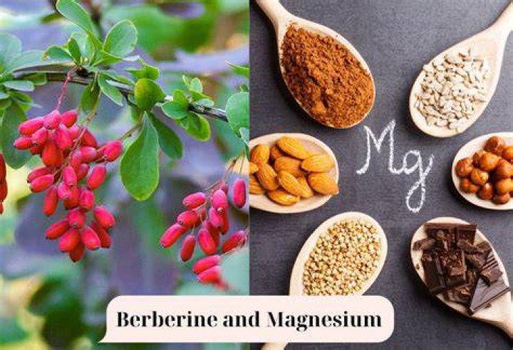 Can I Take Berberine And Magnesium Together