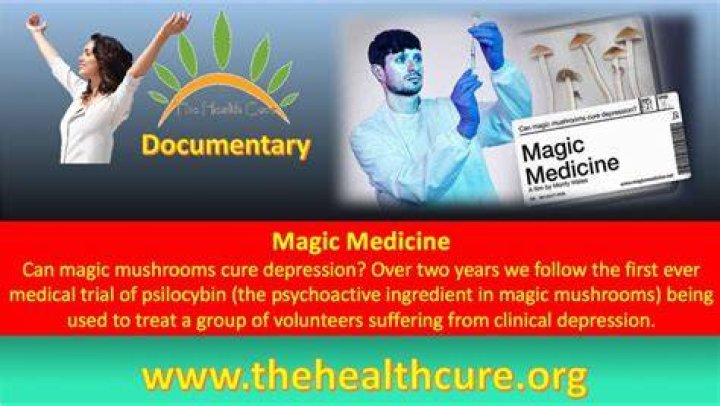 Can magic mushrooms cure schizophrenia?