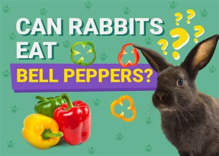 Can Rabbits Eat Bell Pepper? Safety Facts & FAQ