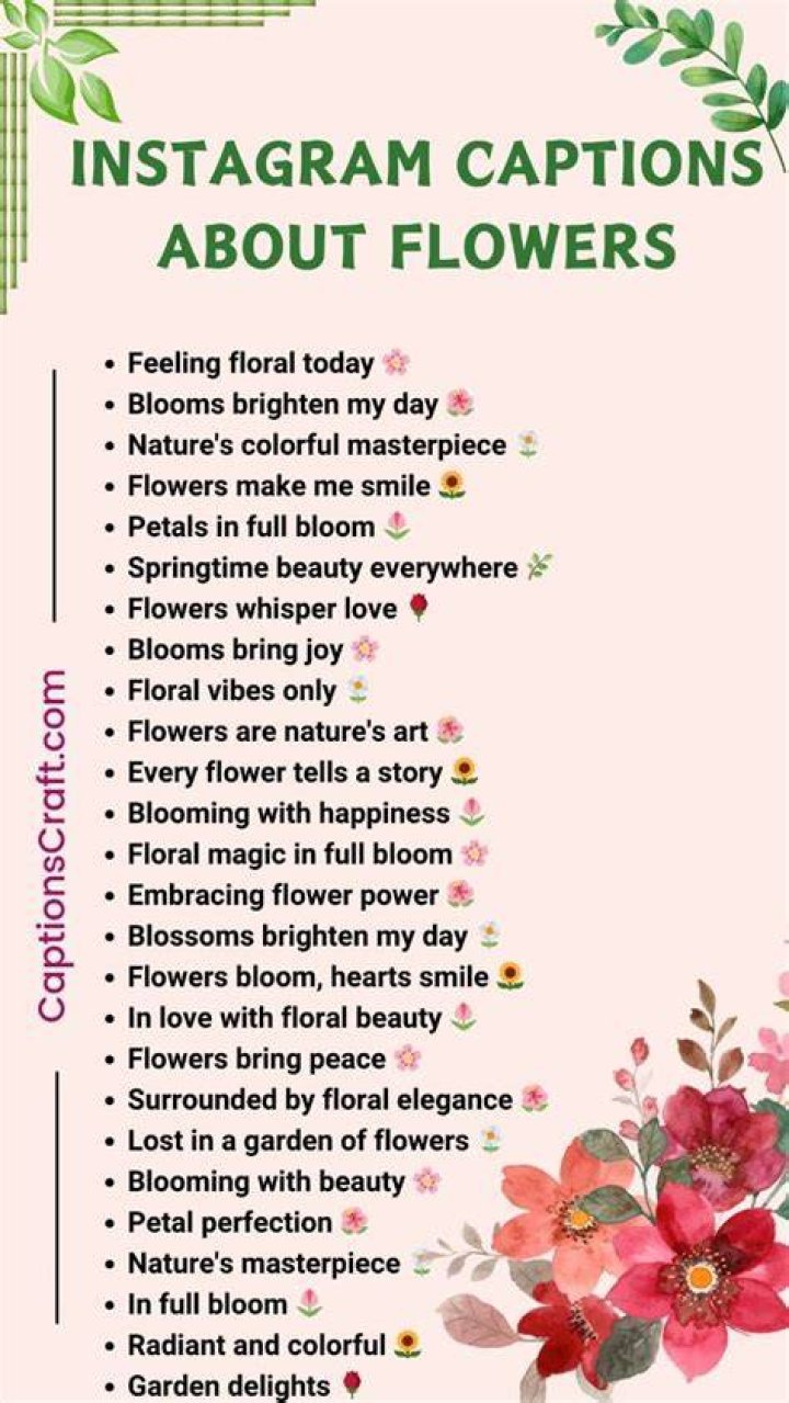 Captivating Captions For Flowers: Enhance Your Floral Photography