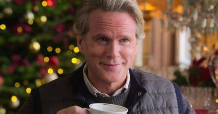 Cary Elwes A Castle for Christmas