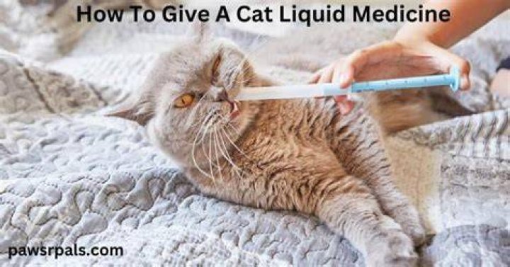 Cat Liquid Medicine