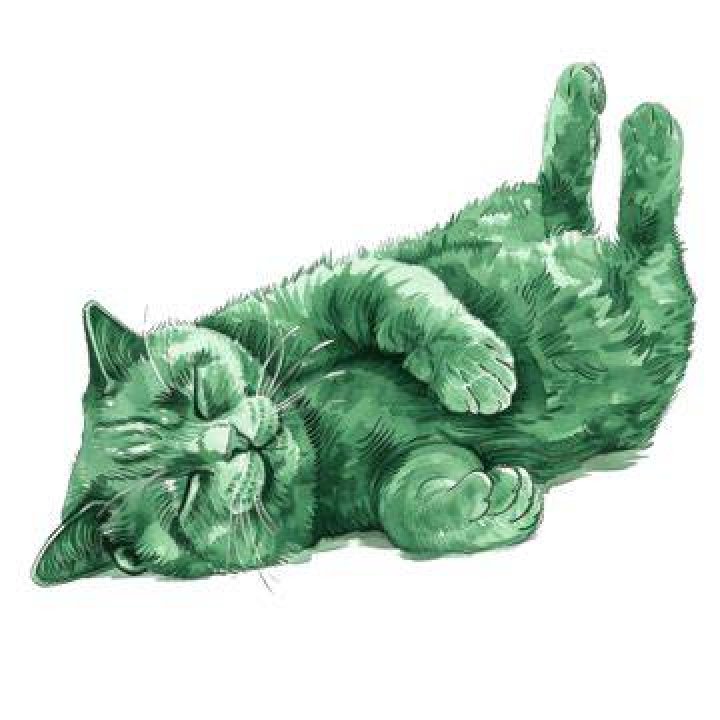 cat lying on a green towel