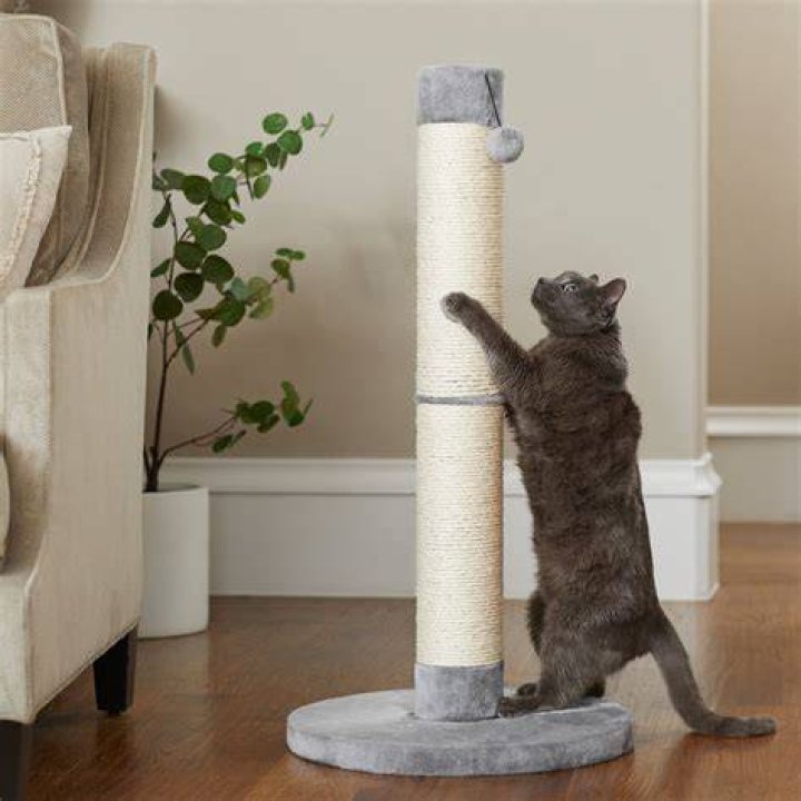 cat scratching on Frisco 33.5-in Sisal Cat Scratching Post