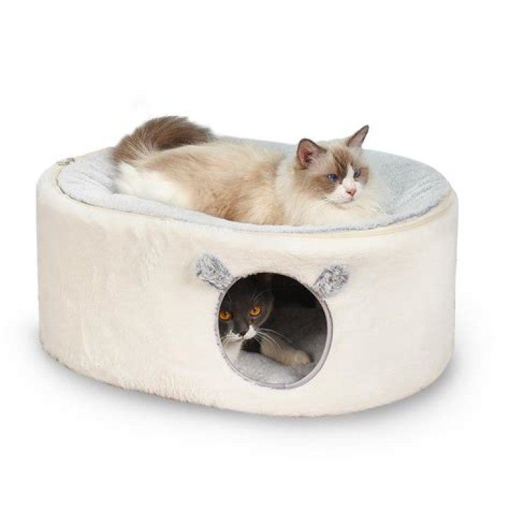 cat sleeping in cat bed