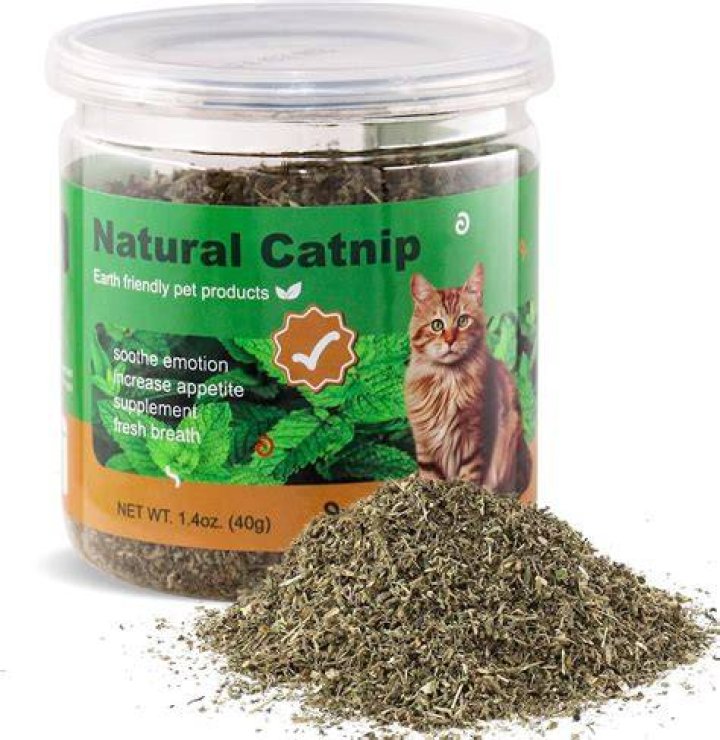 catnip jar cat holding