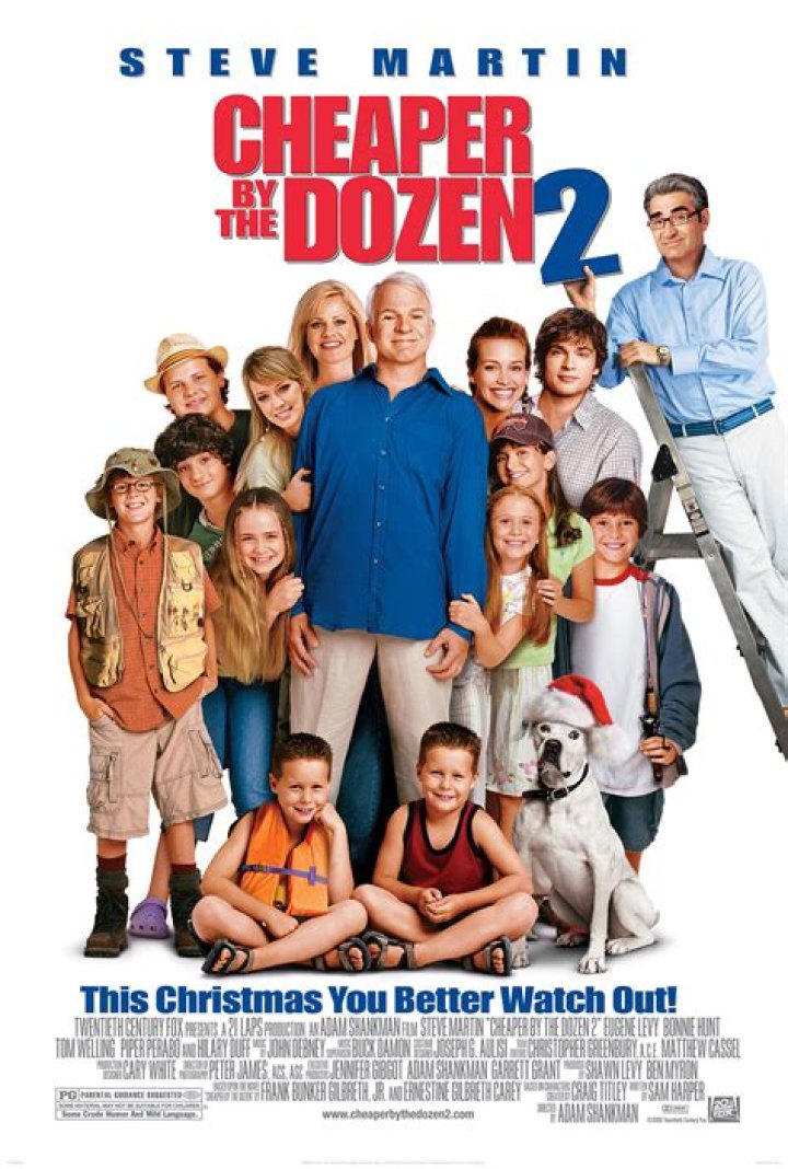 Cheaper By The Dozen movie