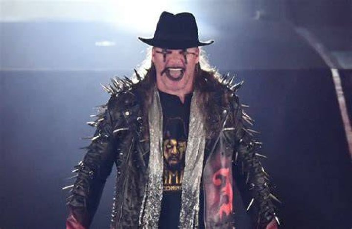 Chris Jericho Painmaker