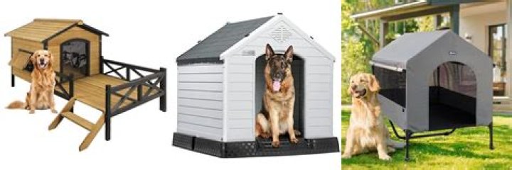 CJ's Doghouse: A Comprehensive Guide To The Ultimate Dog Haven