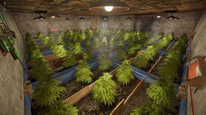 cloth farming guide rust