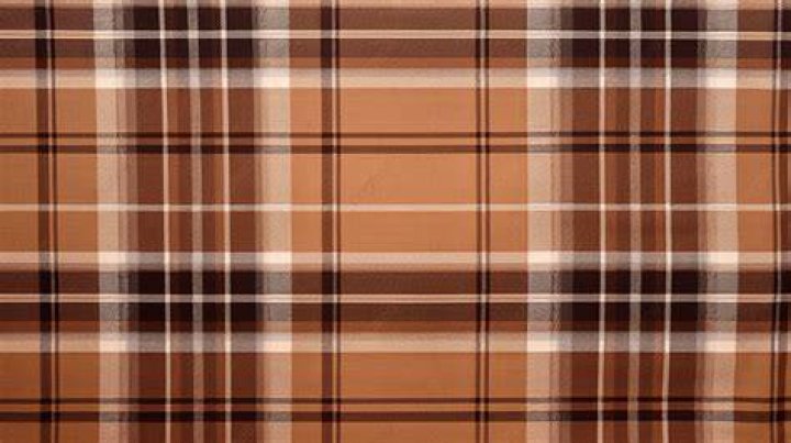Clothing, Footwear, Brown, Plaid, Tartan, Textile, Pattern, Outerwear, Winter, Style, 