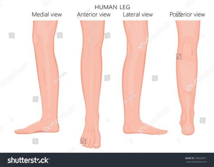 Clothing, Human, Leg, Human leg, Shoulder, Shoe, Dress, Joint, Red, Style, Clothing, Human, Leg, Human leg, Shoulder, Shoe, Dress, Joint, Red, Style,