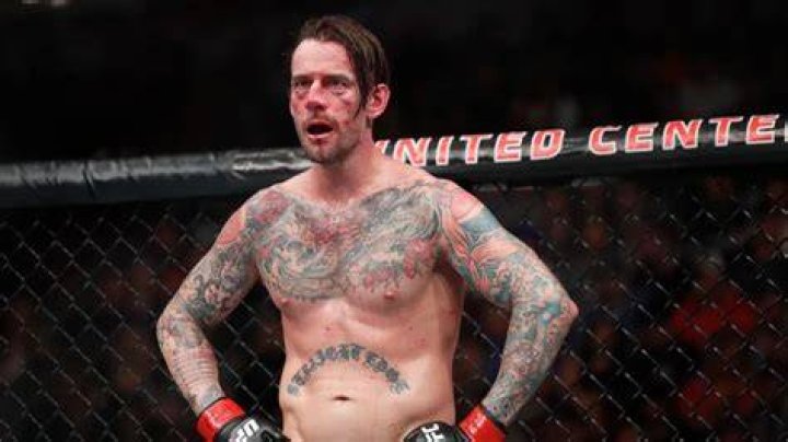 cm punk in ufc