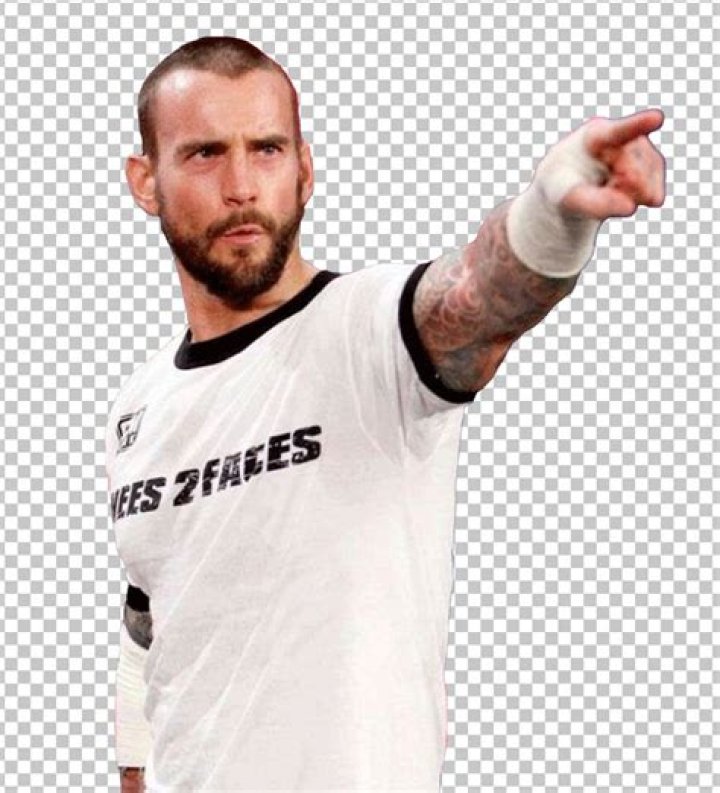 cm punk pointing, and the impact wrestling logo