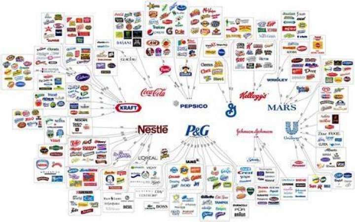 Companies Are In The Consumer Non Durables Field