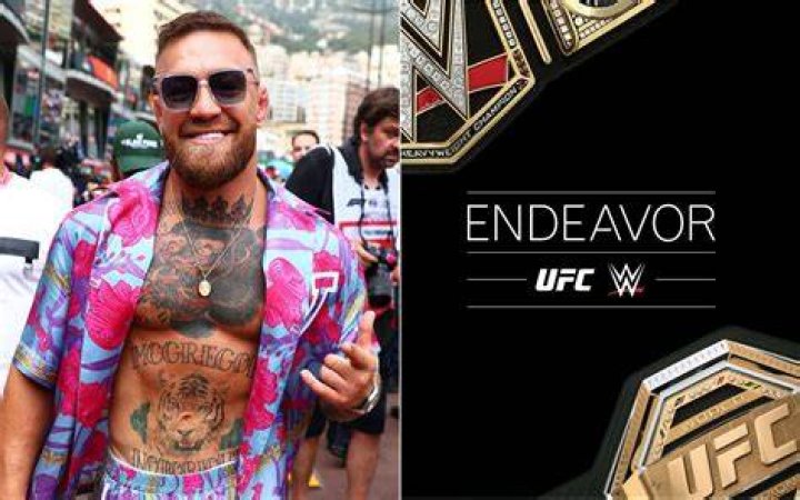 Conor McGregor endeavor