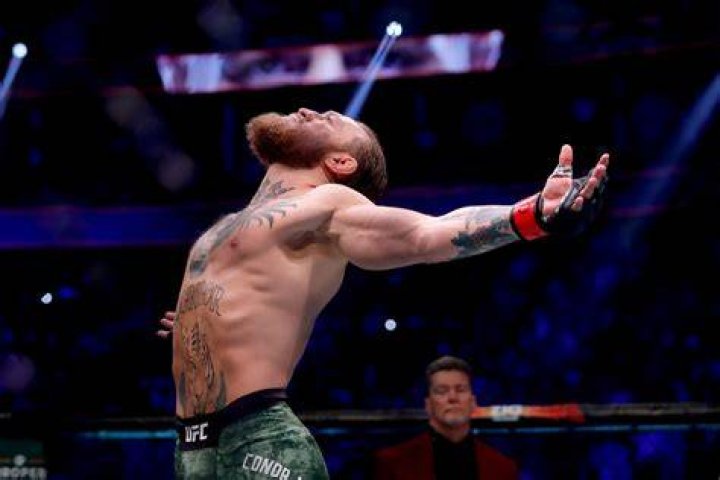Conor McGregor inside the octagon Cropped
