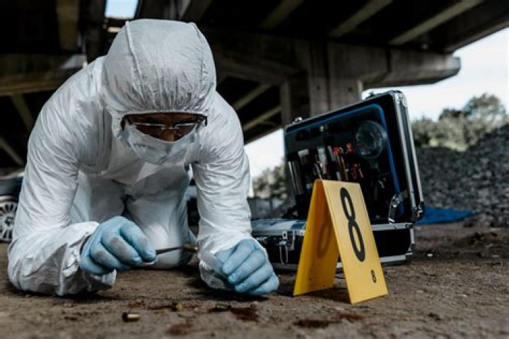 Coroner Lacey: Understanding Her Role In Modern Forensics