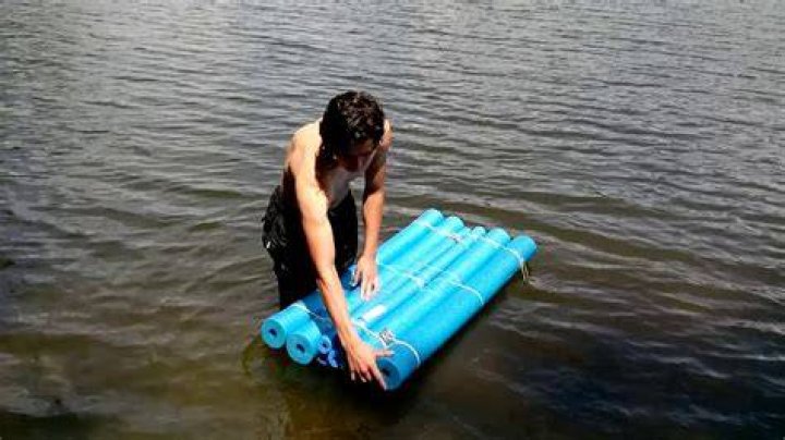 Crafty Water Raft pool noodle dog