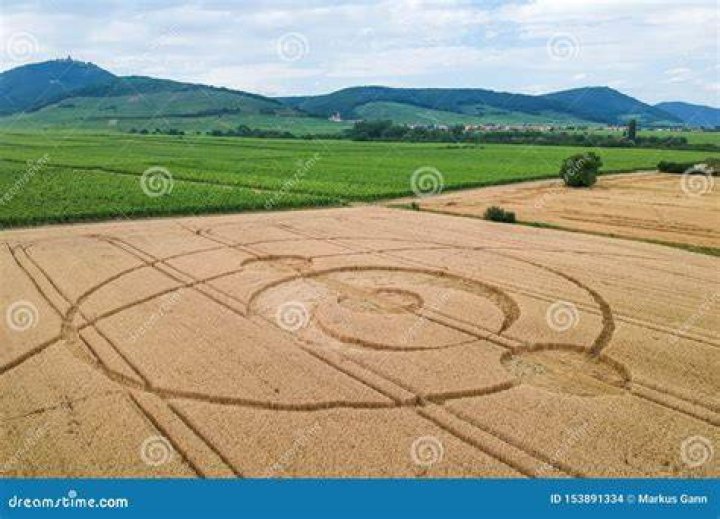 Crop circles in Paris, France. Photo / Getty Images