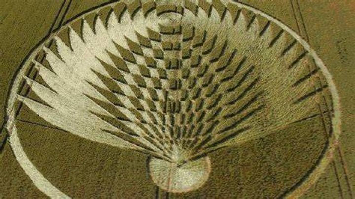 Crop circles: They're real and contain hidden messages, scientist says