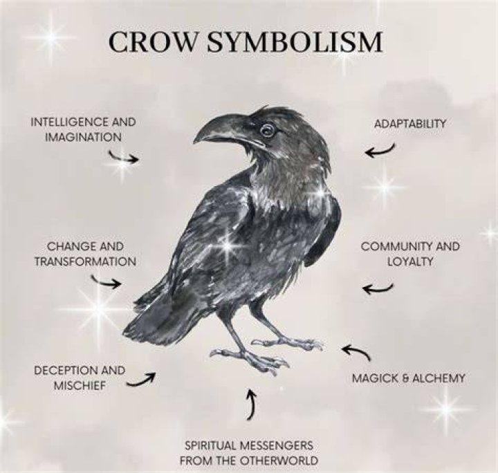 Crow Represent: Unveiling The Significance And Symbolism Of Crows Across Cultures