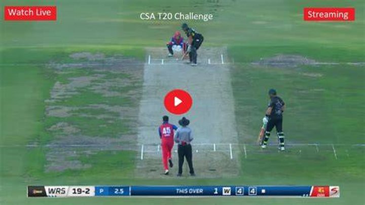 CSA T20 Challenge: Imperial Lions get back on track with impressive win over Hollywoodbets Dolphins