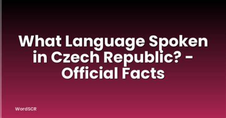 Czech Bitch: Exploring The Culture, Language, And Significance