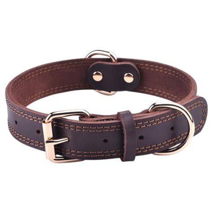 DAIHAQIKO Leather Dog Collar