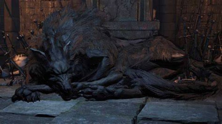 Dark Souls 3: Keep Ruins to Old Wolf of Farron
