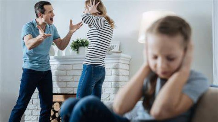 DaughterSwap: Understanding The Concept, Implications, And Impact On Families