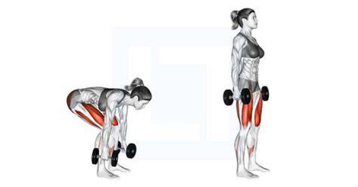 db dumbbell deadlift