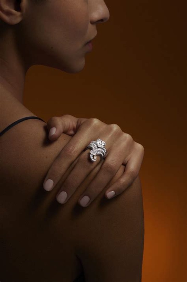 De Beers Forces of Nature,Buffalo Crown Ring and Zebra Jacket Ring and Elephant Crown Ring and Giraffe Crown Ring de beers forces of nature