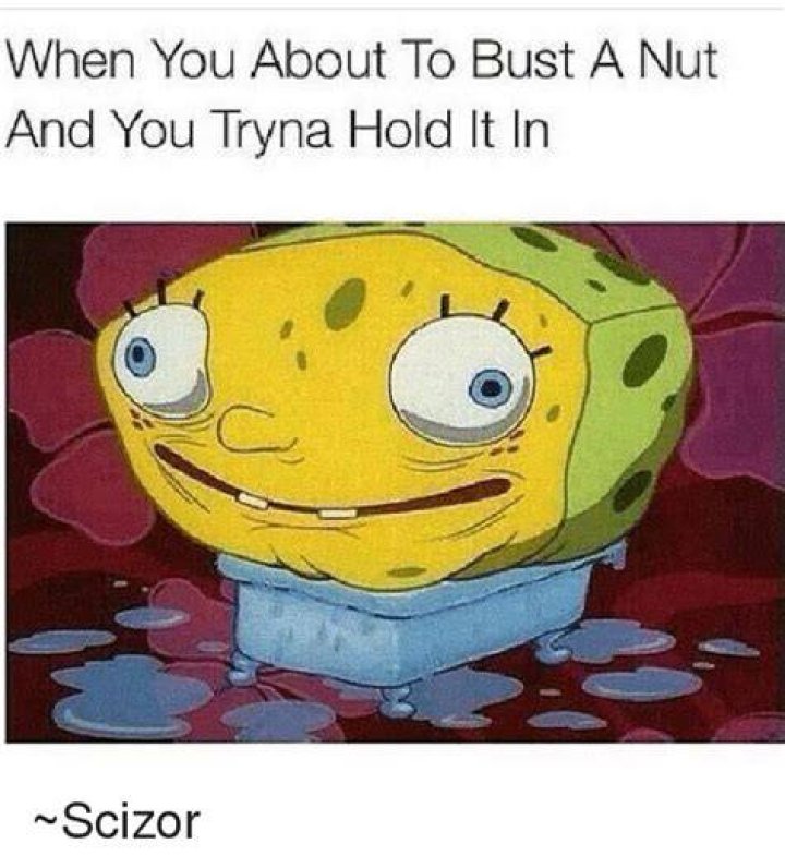 Definitions of bust a nut