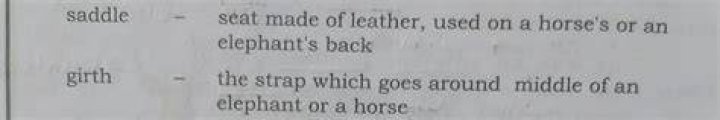 Definitions of girth - OneLook