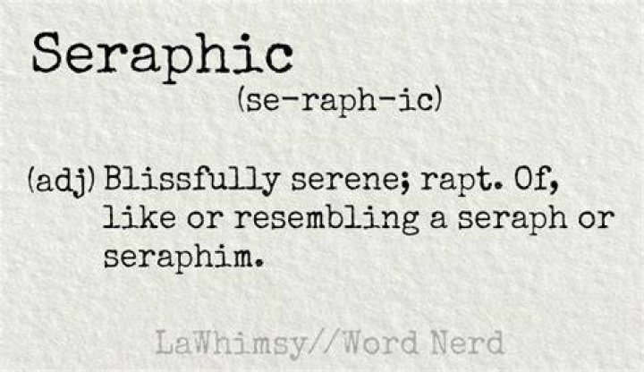 Definitions of seraphic - OneLook