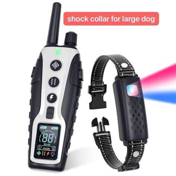 Definitions of shock collar - OneLook